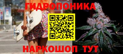 ECSTASY Камышлов