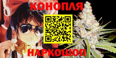 ECSTASY Камышлов