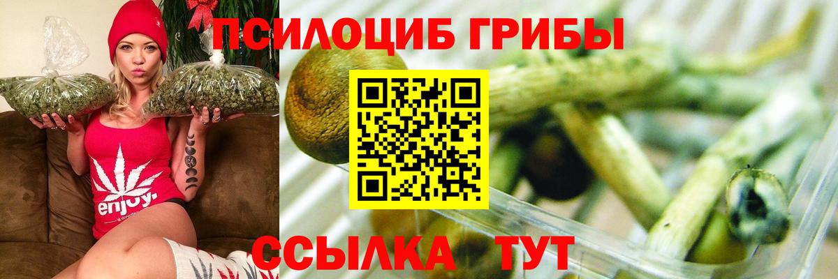 Псилоцибиновые грибы MAGIC MUSHROOMS Елабуга